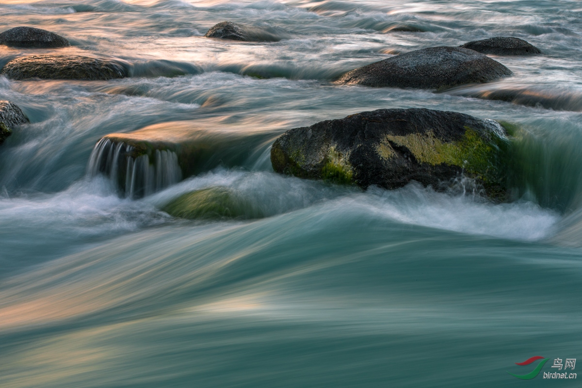 川流不息的喀纳斯湖