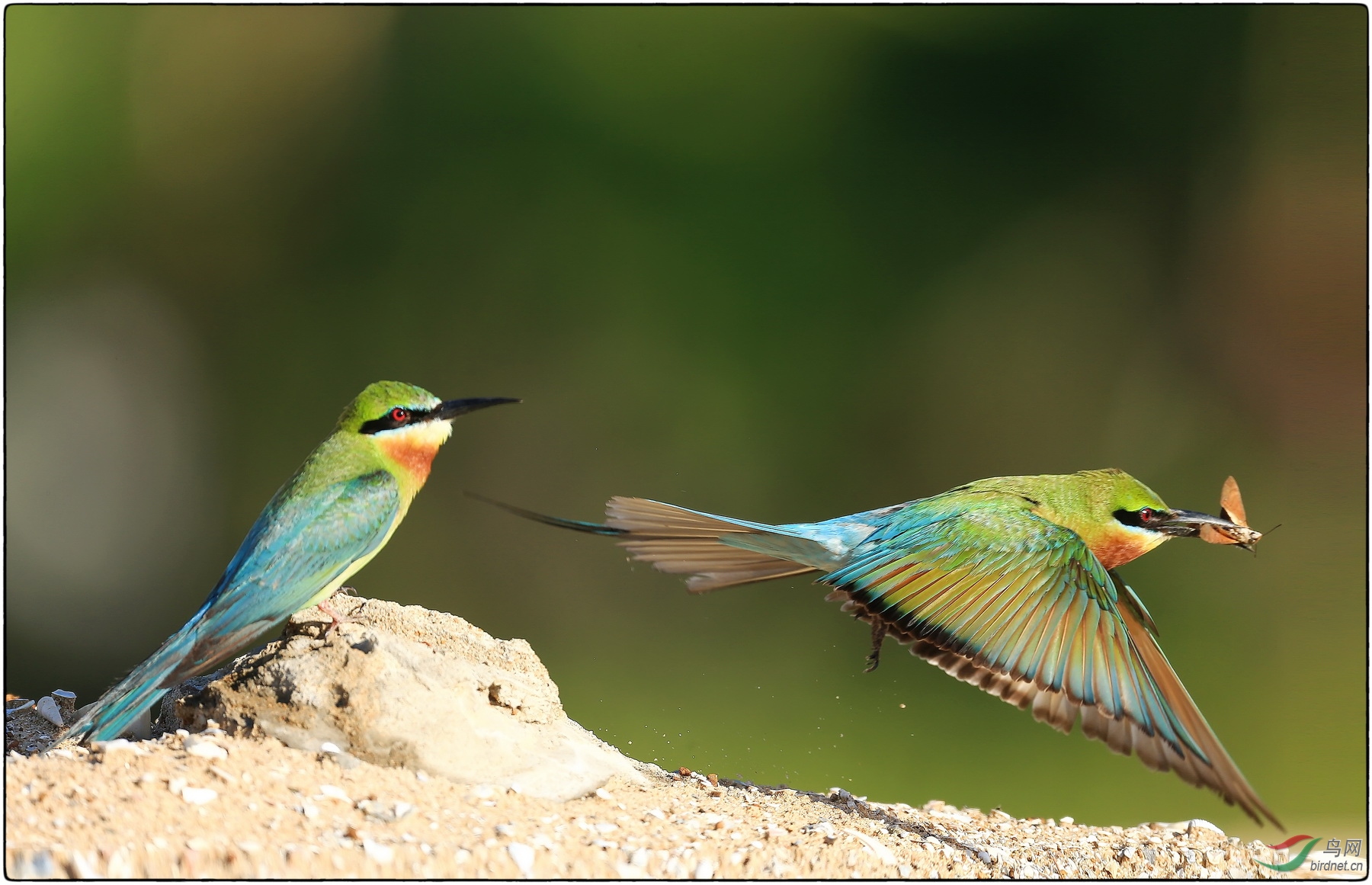 沙丘上的动与静虚与实