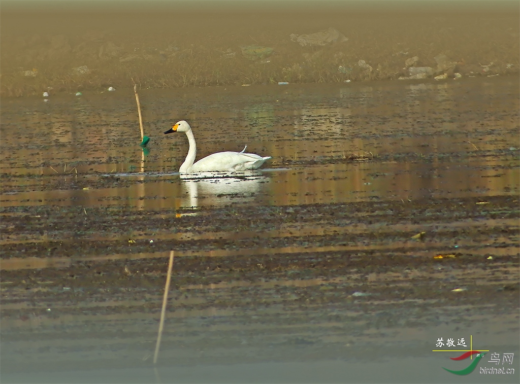 DSCF8094СС.jpg