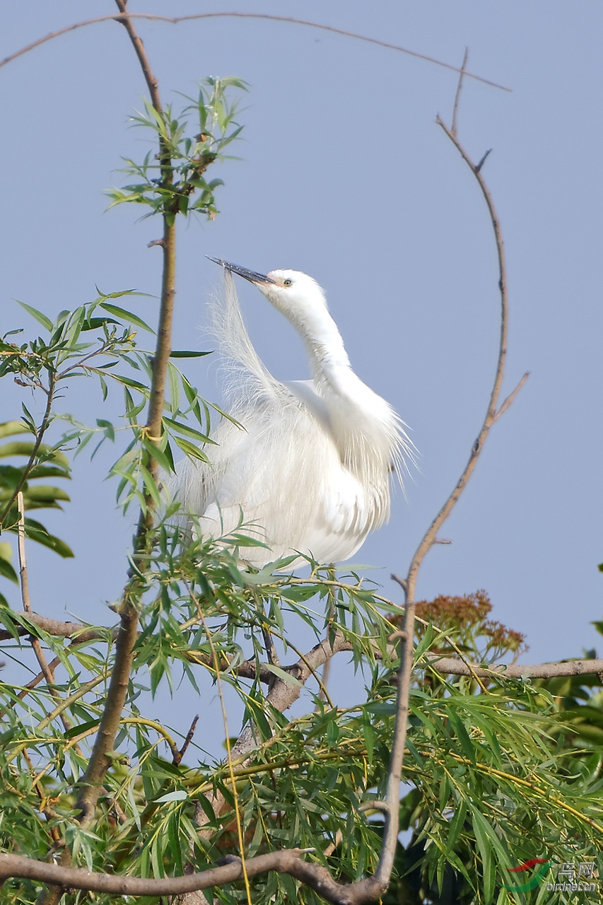 DSC_0798a.jpg