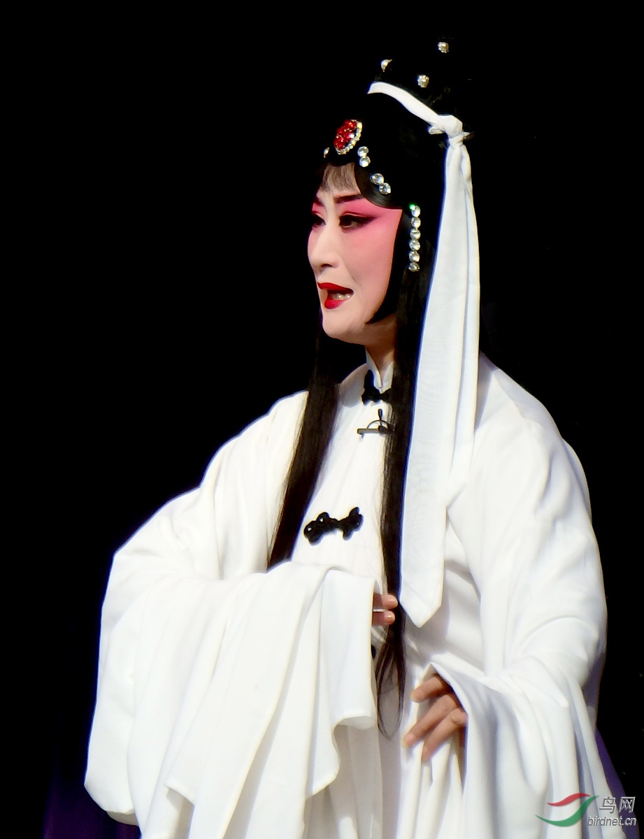 陕西省戏曲研究院秦腔团《武松杀嫂》剧照欣赏