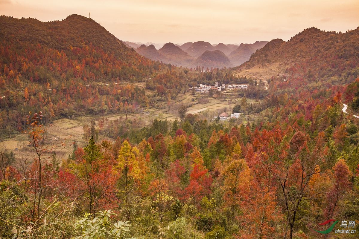 又是红枫拍摄时