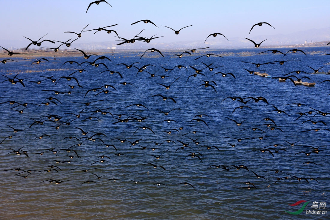 水天一色大雁湖
