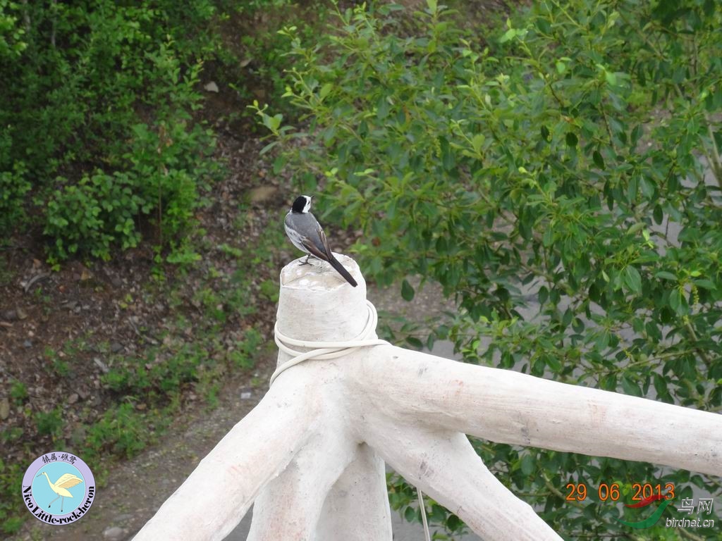20130629084752.JPG