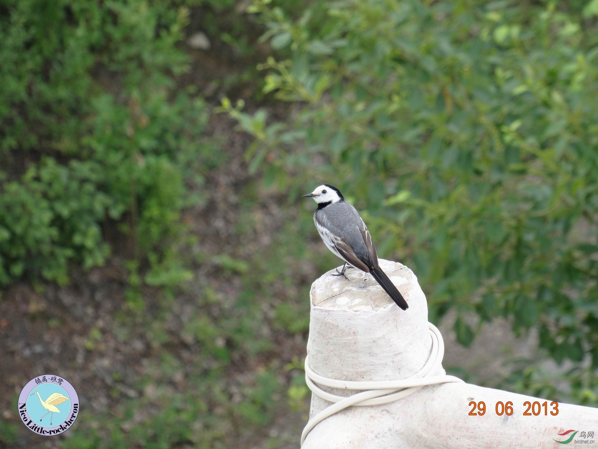 20130629084812.JPG
