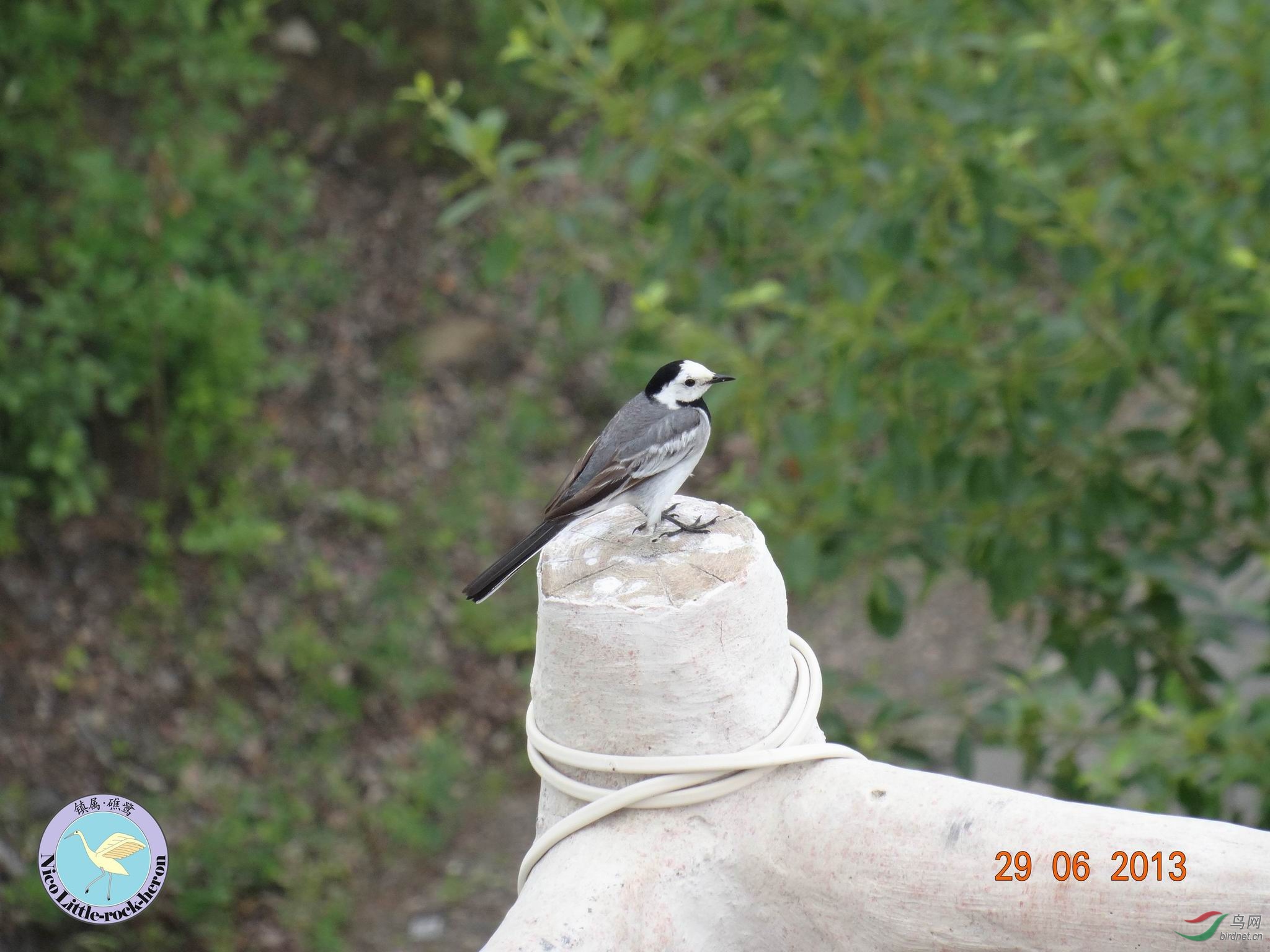 20130629084820.JPG