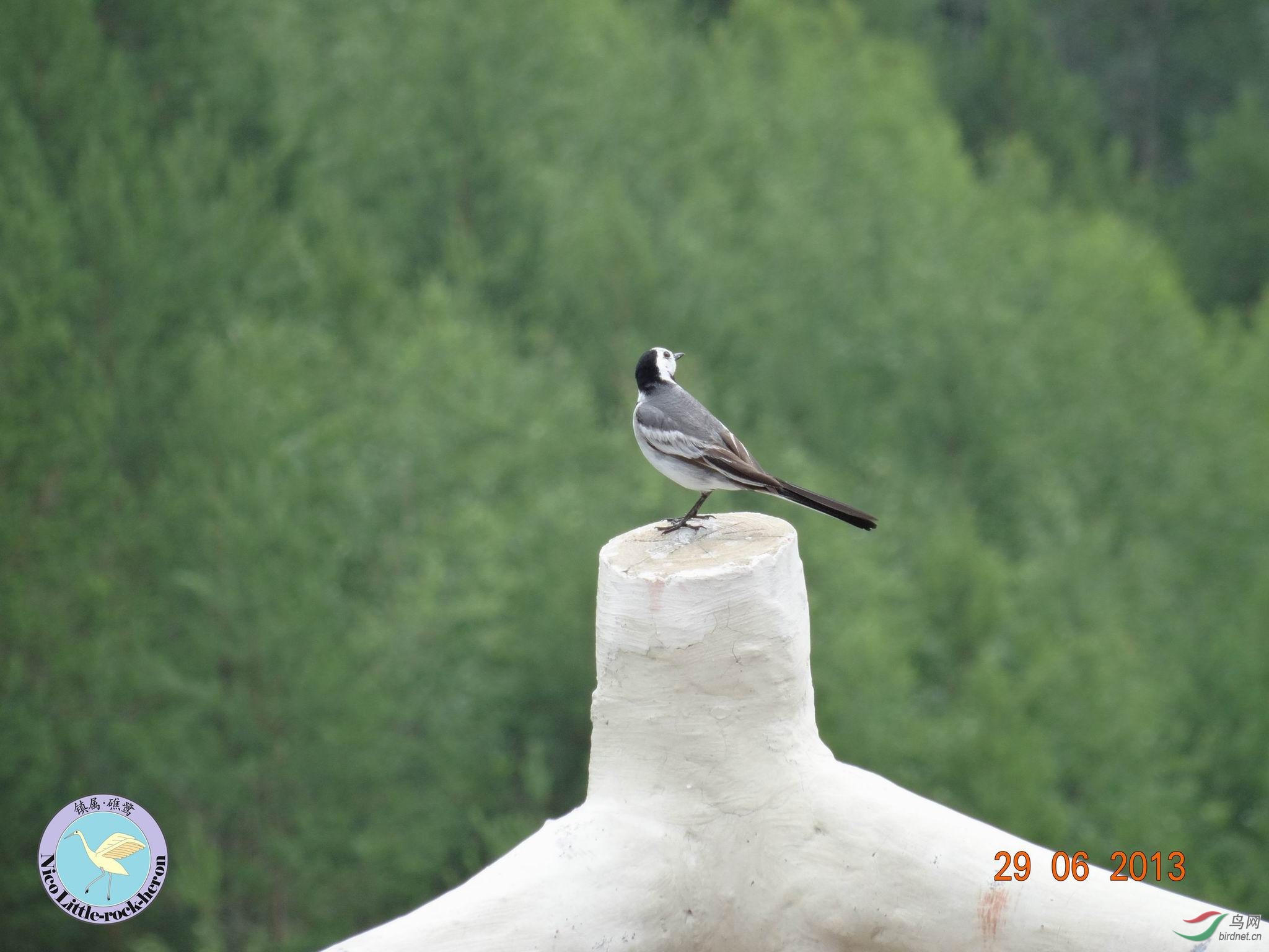 20130629084922.JPG