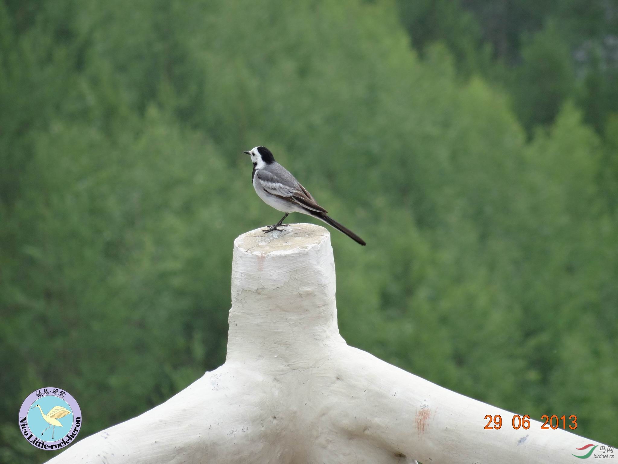 20130629084926.JPG