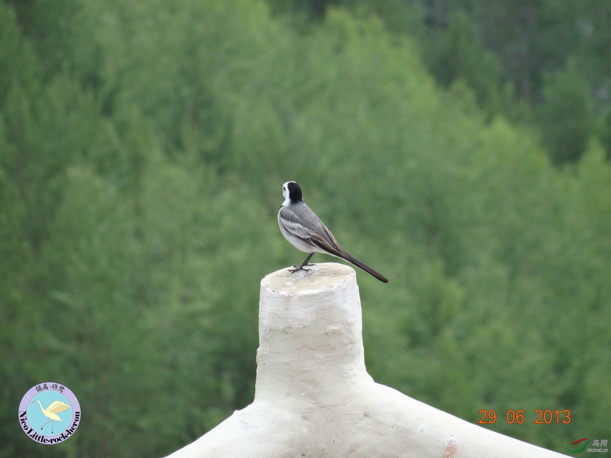 20130629084940.JPG