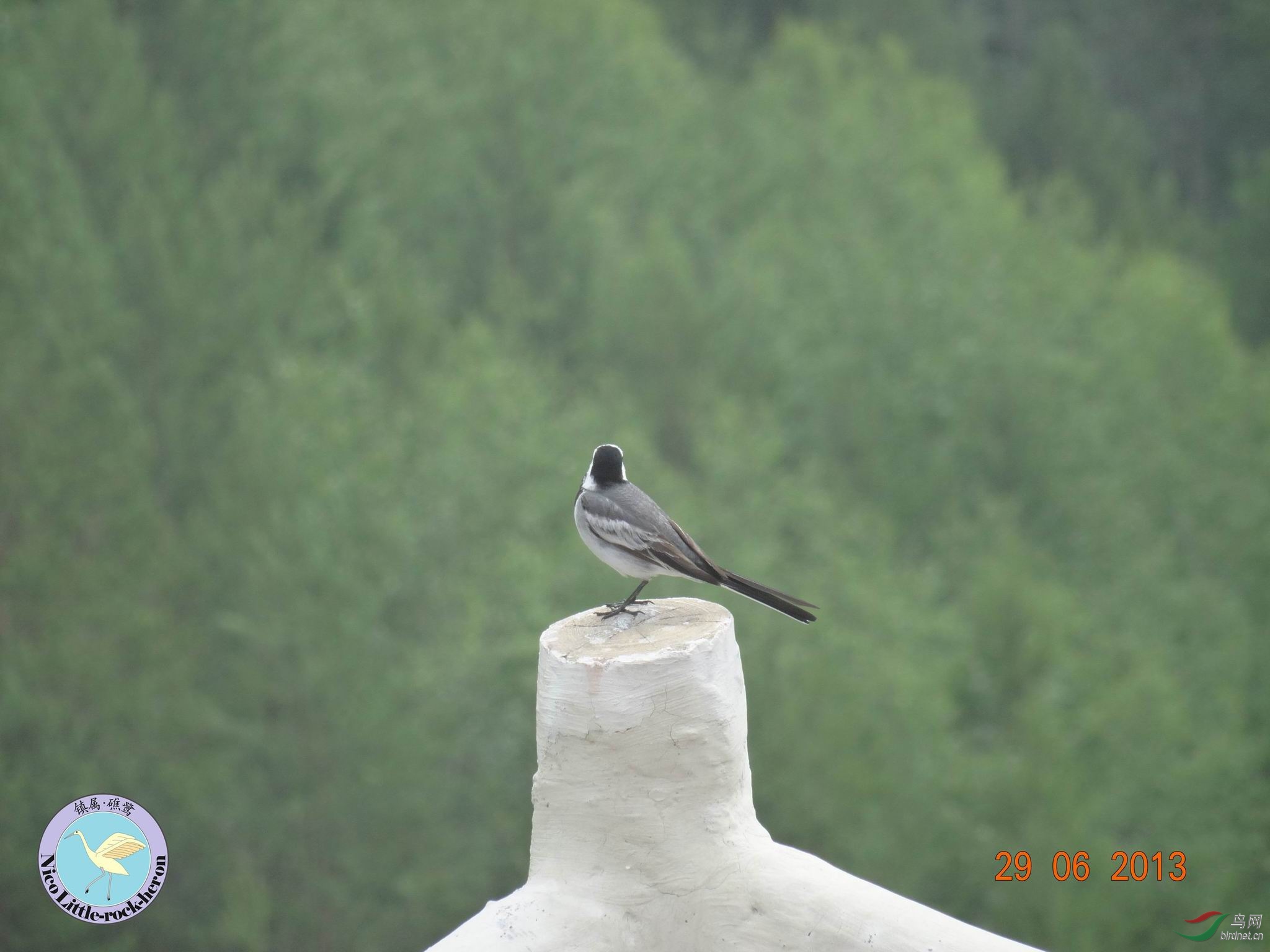 20130629084948.JPG
