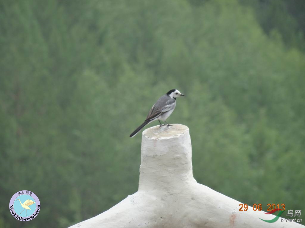 20130629084954.JPG