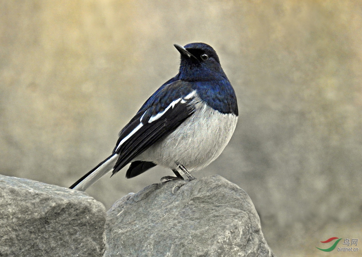 DSCN8572 ����.jpg