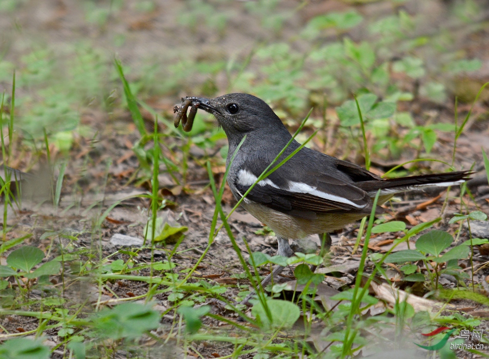 DSC_4545 ����2.jpg