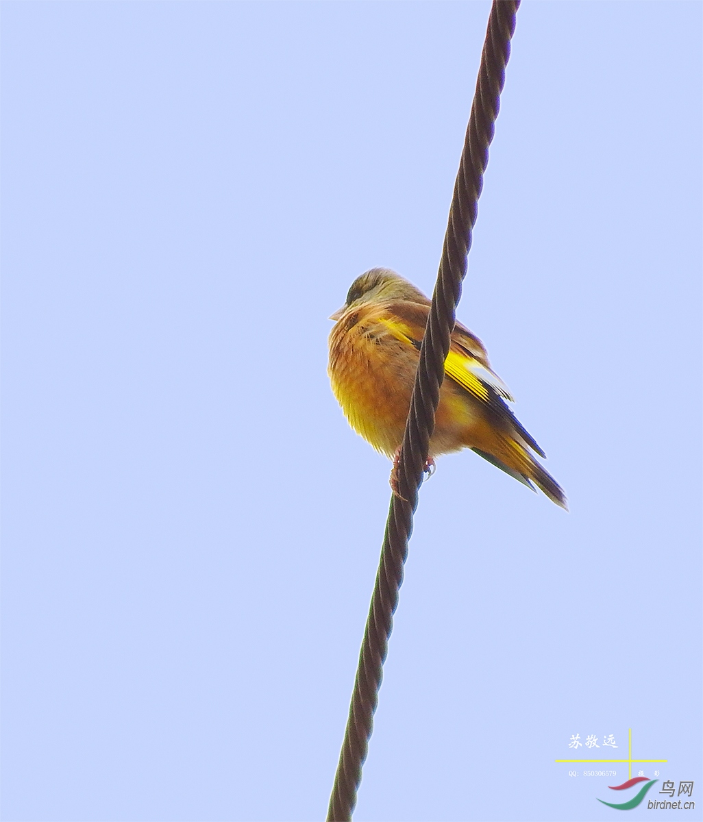 DSCF6149СС.jpg
