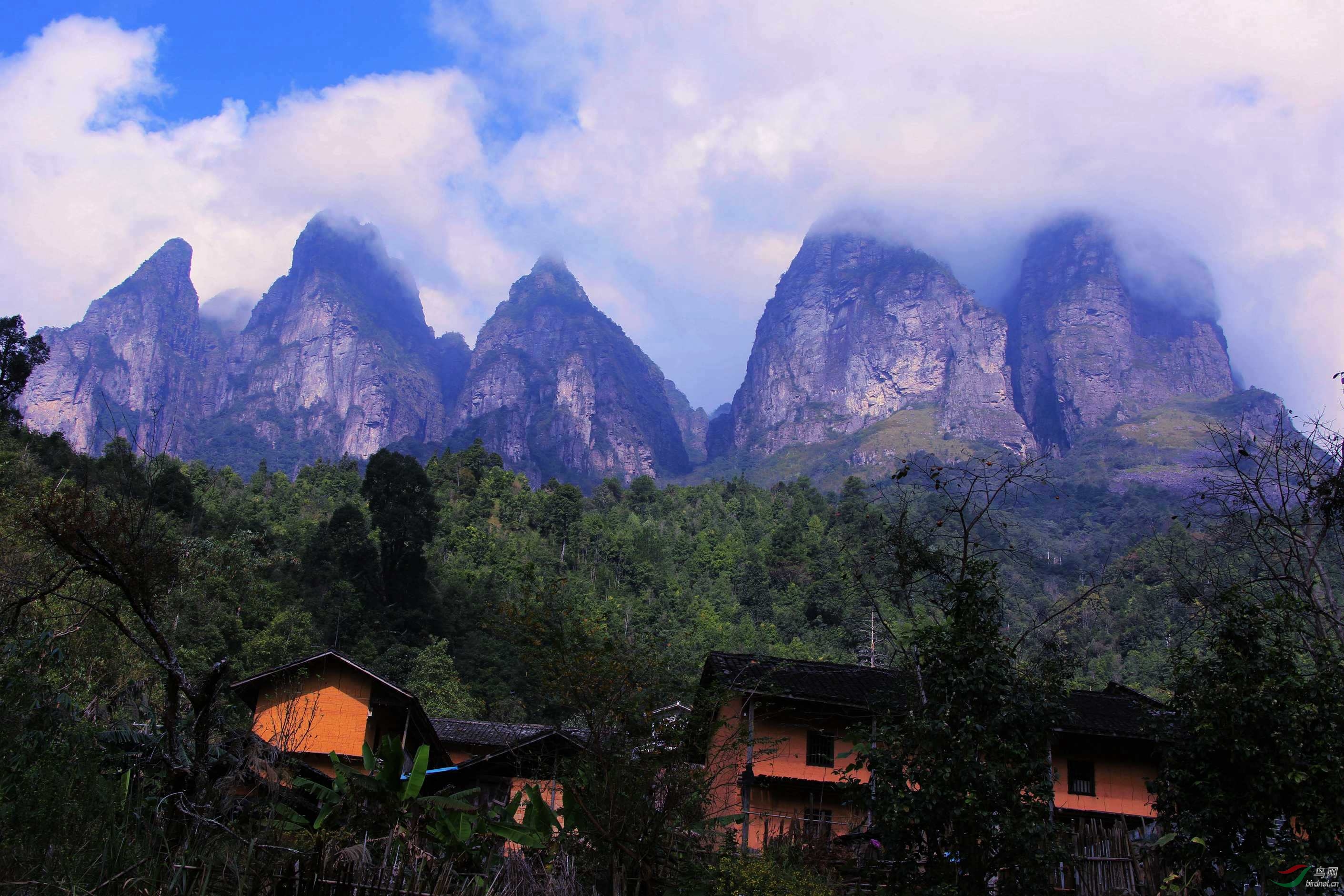 广西大瑶山土匪头子图片