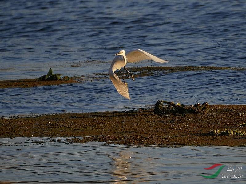 ���أ��ؼ��ˣ�