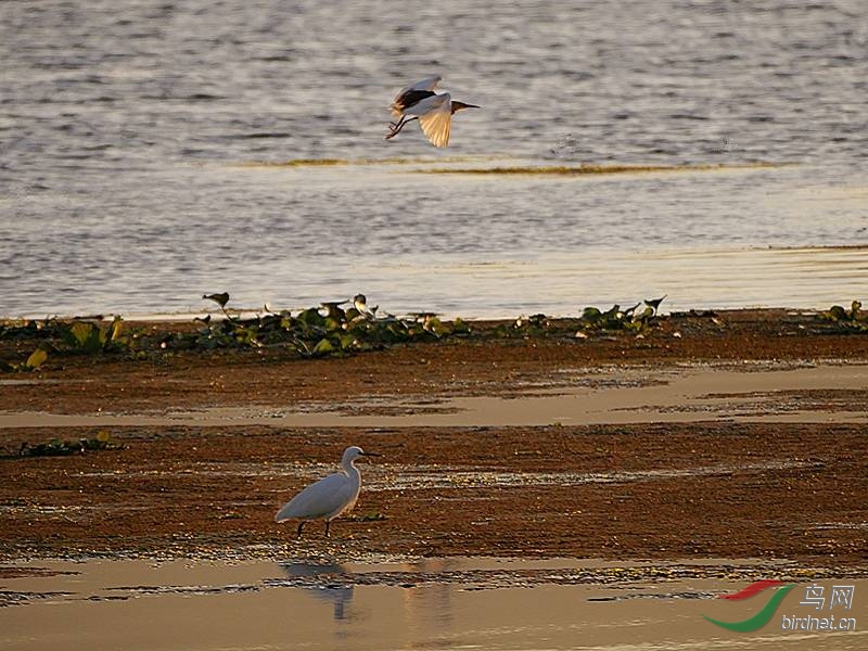 ��������أ��������߰ɣ�