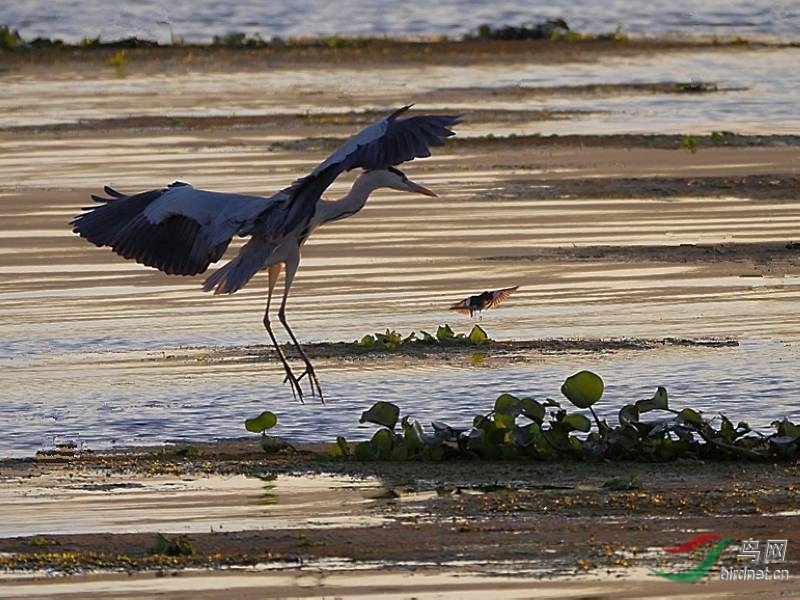 �������n�_����һ�ȸ�ͷ��