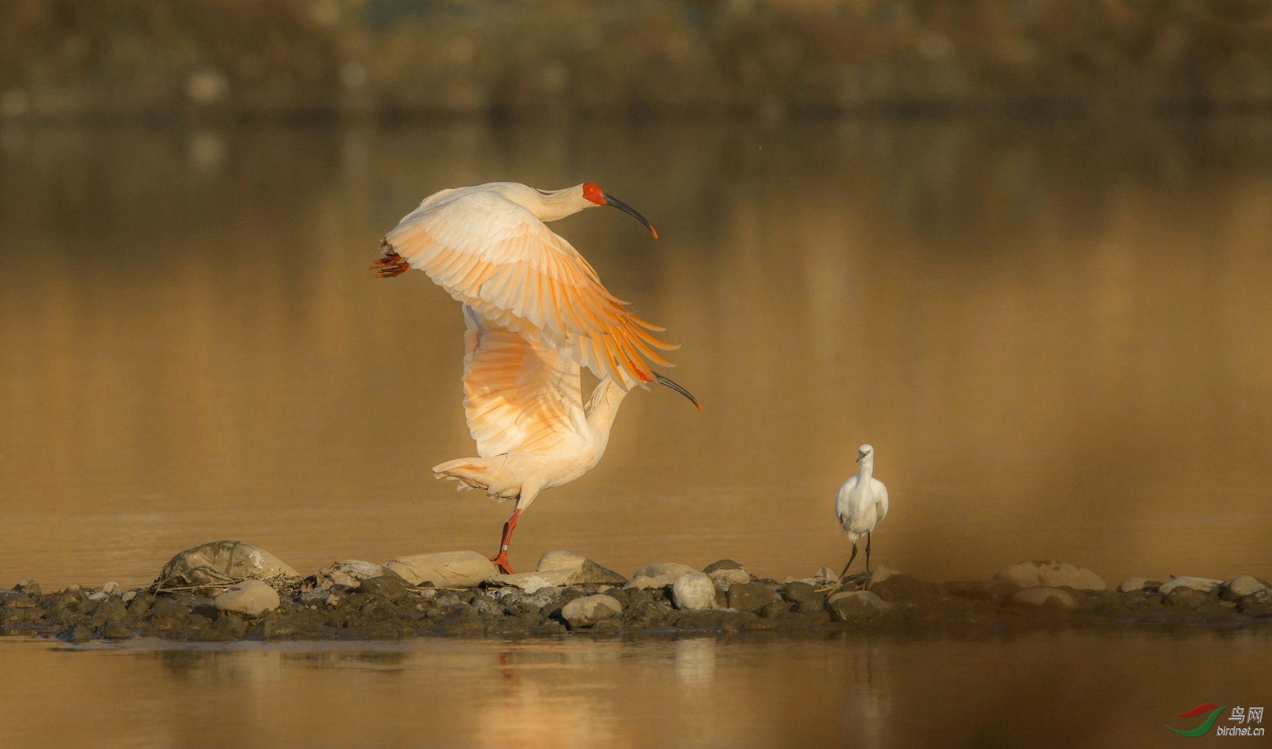 ~我悄悄的蒙上你的眼睛~