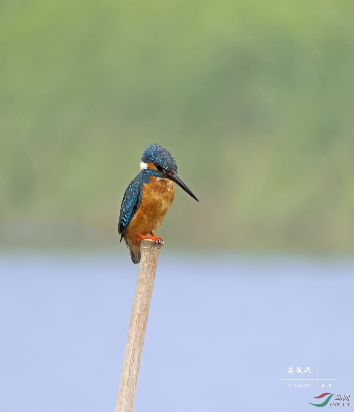 DSCF4109СС.jpg