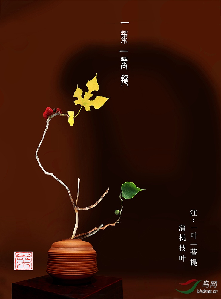 4_n9r9827-一叶一菩提-小样.jpg