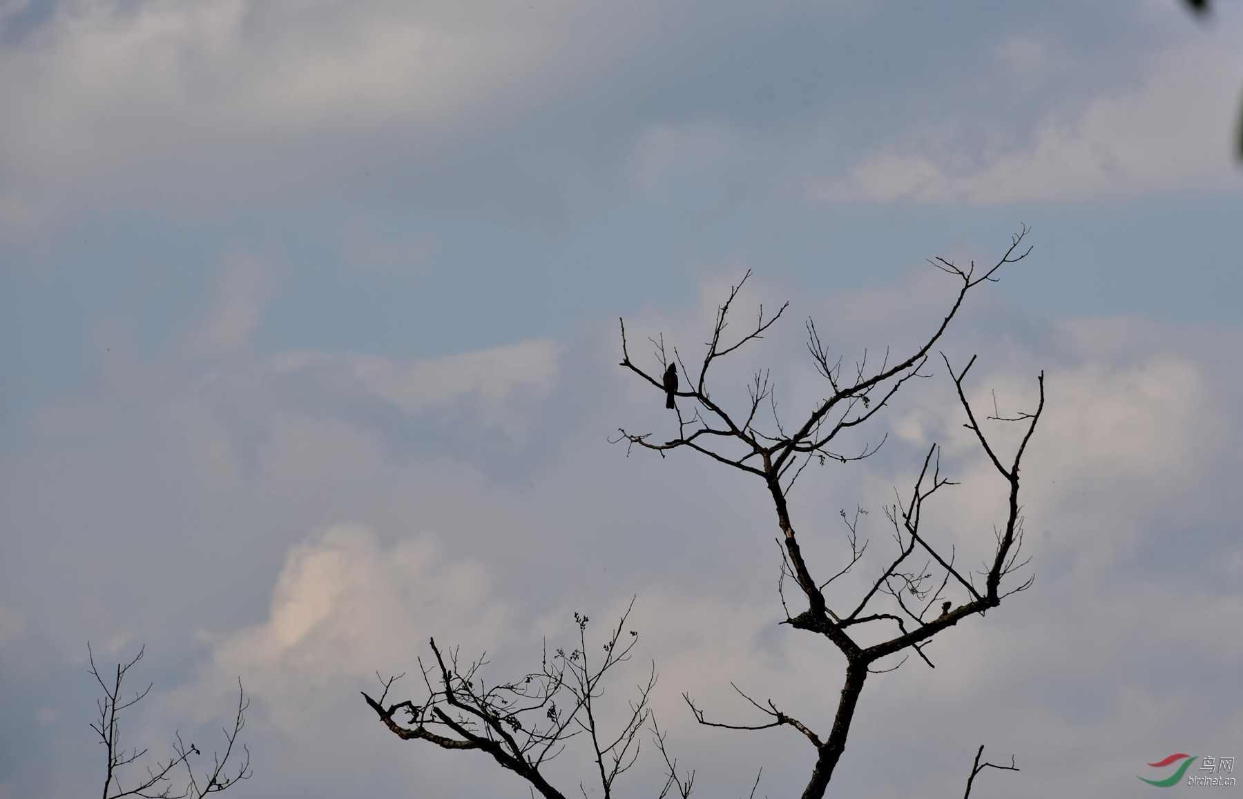 DSC_4038_����.jpg