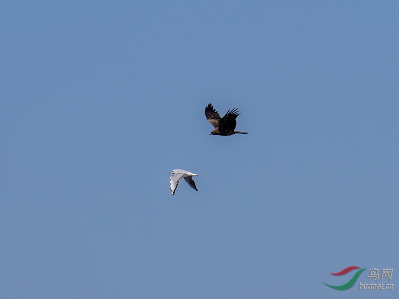 2.0.���հɣ�