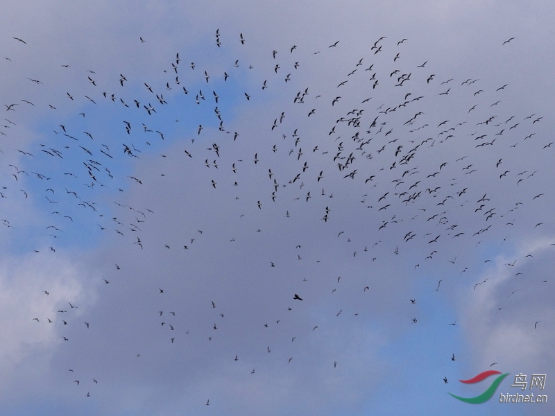 4.2.������...