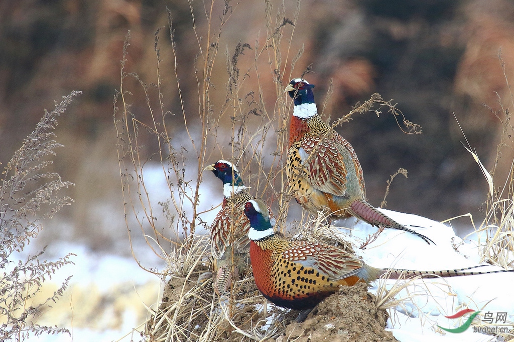 DPP_02068.jpg