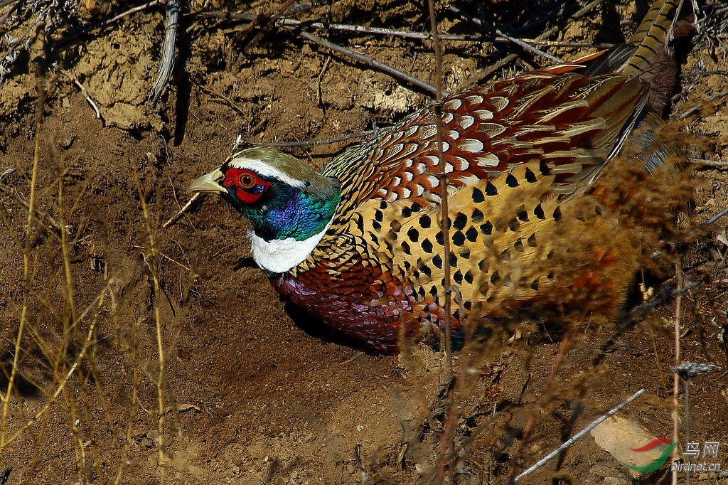 DPP_01427.jpg