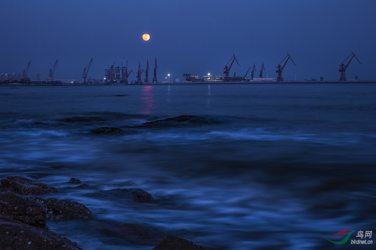 乐清市海上明月图片
