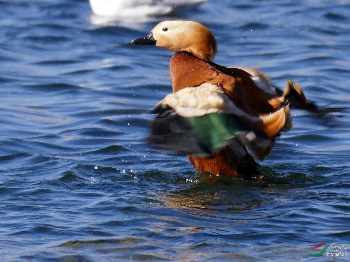 3.��Ҫʱ��Ҳ���԰�������������һ��ȥŶ��