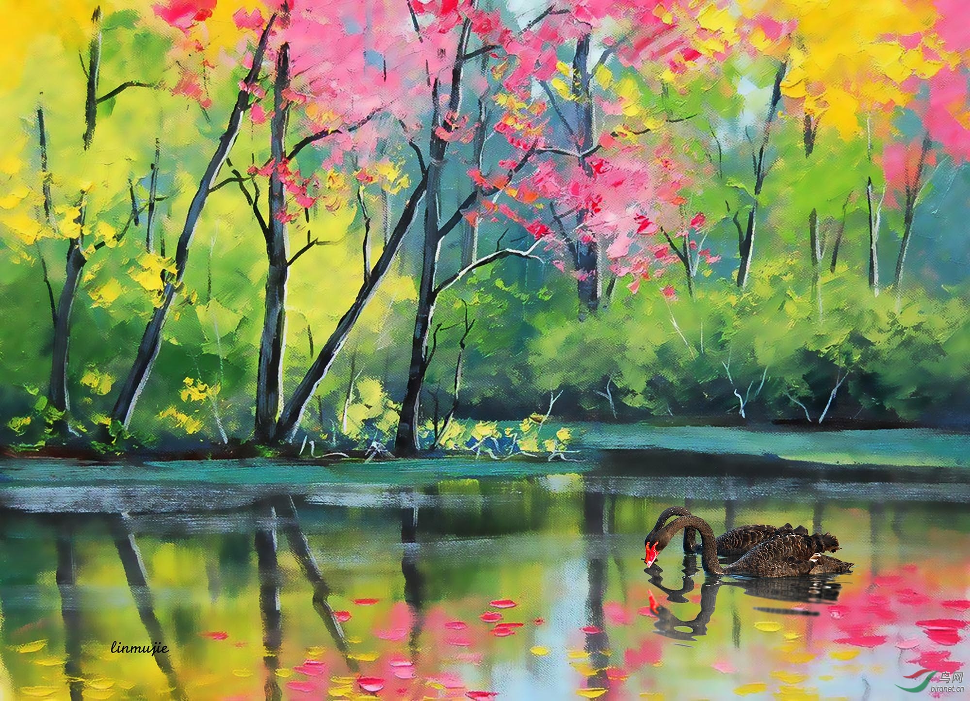 (黑天鹅 )黑天鹅