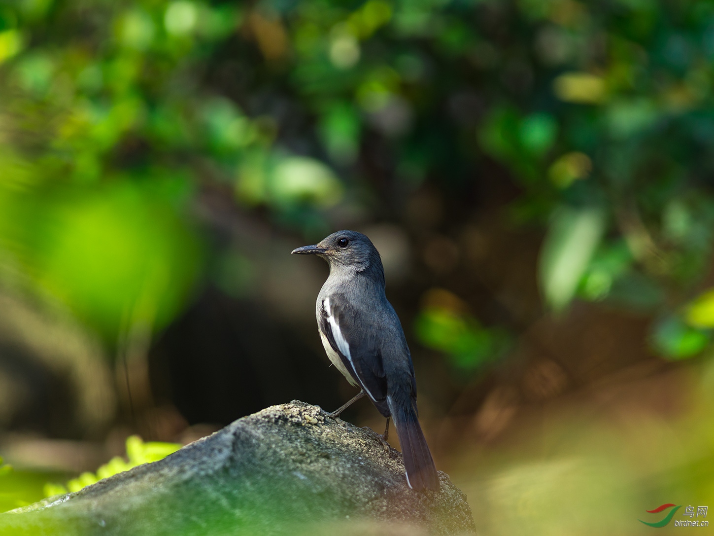 EM125534-a.jpg