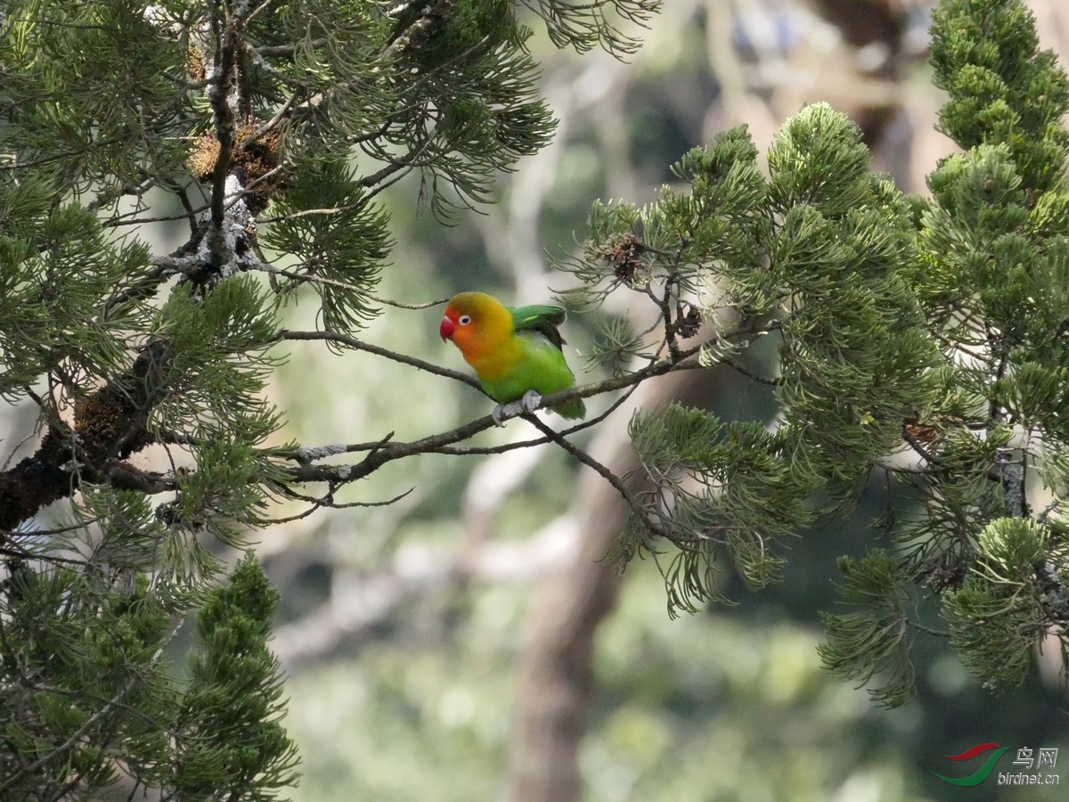 3.������