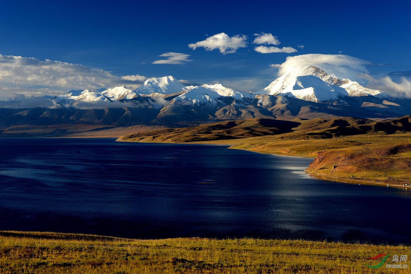 玛旁雍错-重发大图 - 地理风光版 鸟网