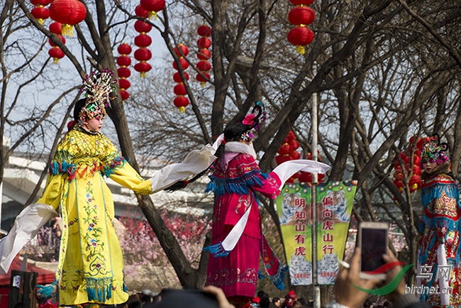 背棍表演太原动物园庙会巡礼1