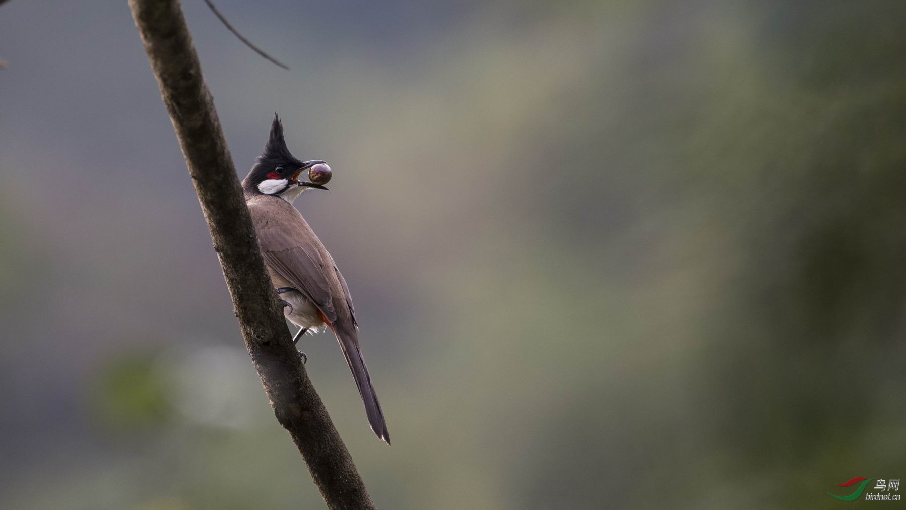 ������С DSC_0164.jpg