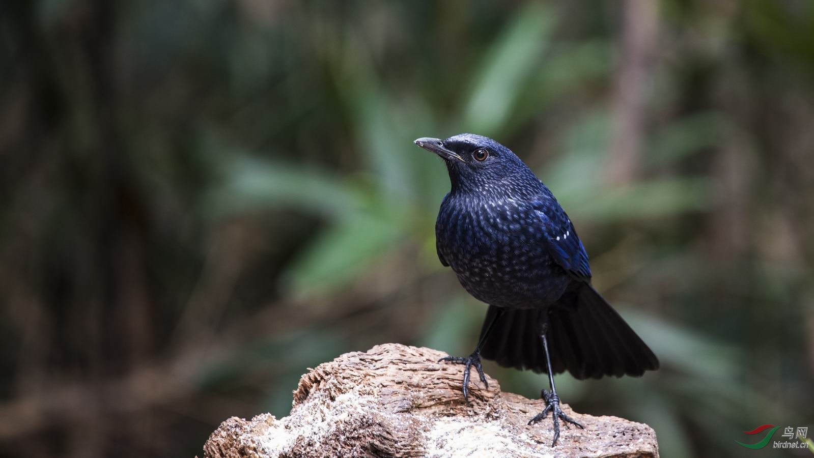 ������С DSC_0874-1.jpg