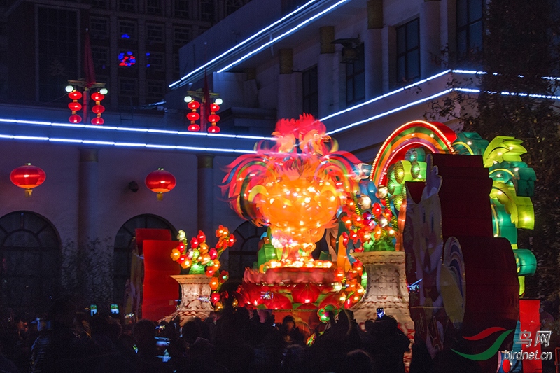 雄鸡起舞太原市南宫元霄节灯展掠影