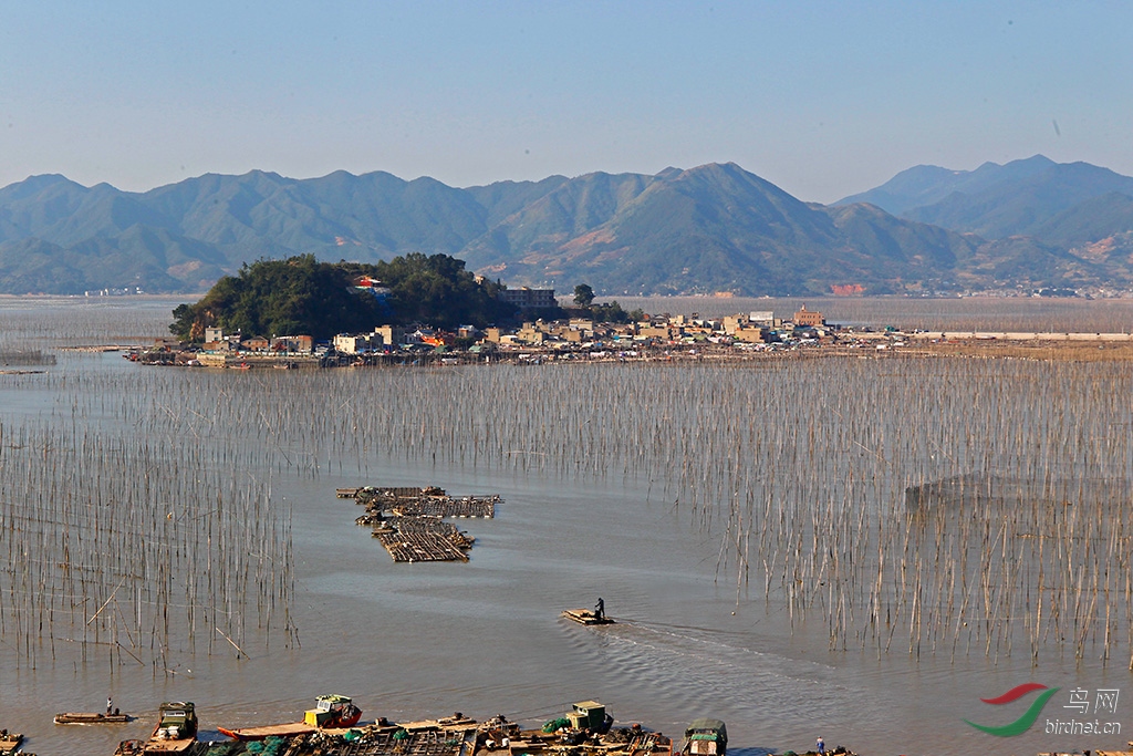 梦幻般的优美线条霞浦沙江s弯