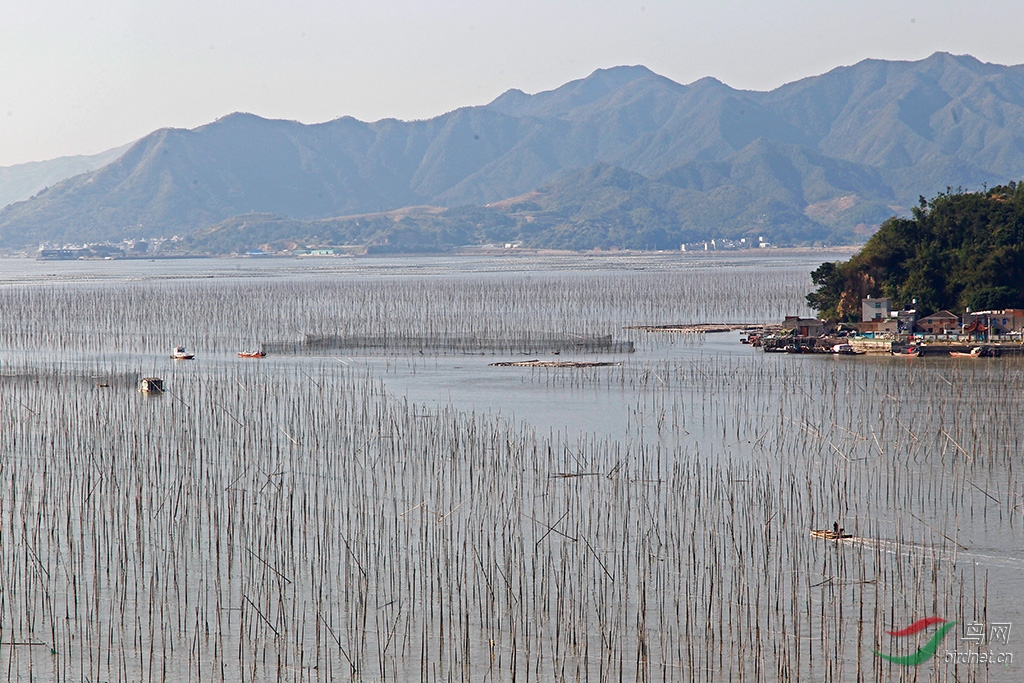 梦幻般的优美线条霞浦沙江s弯