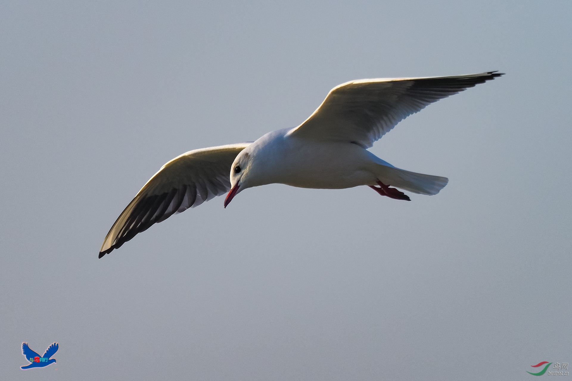 EM124057-ac.jpg