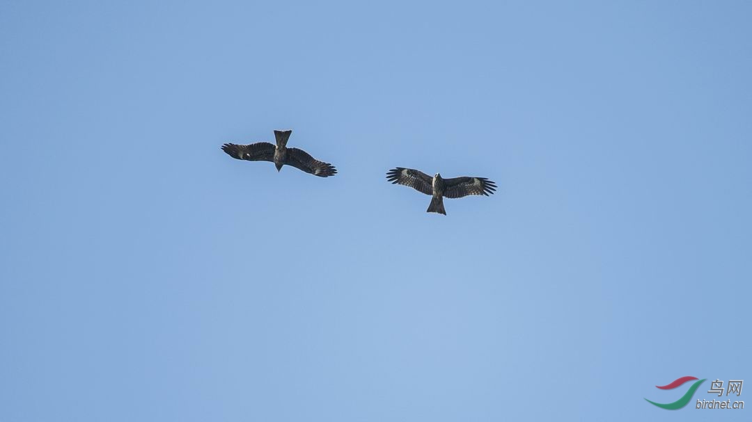 ������С DSC_1775.jpg