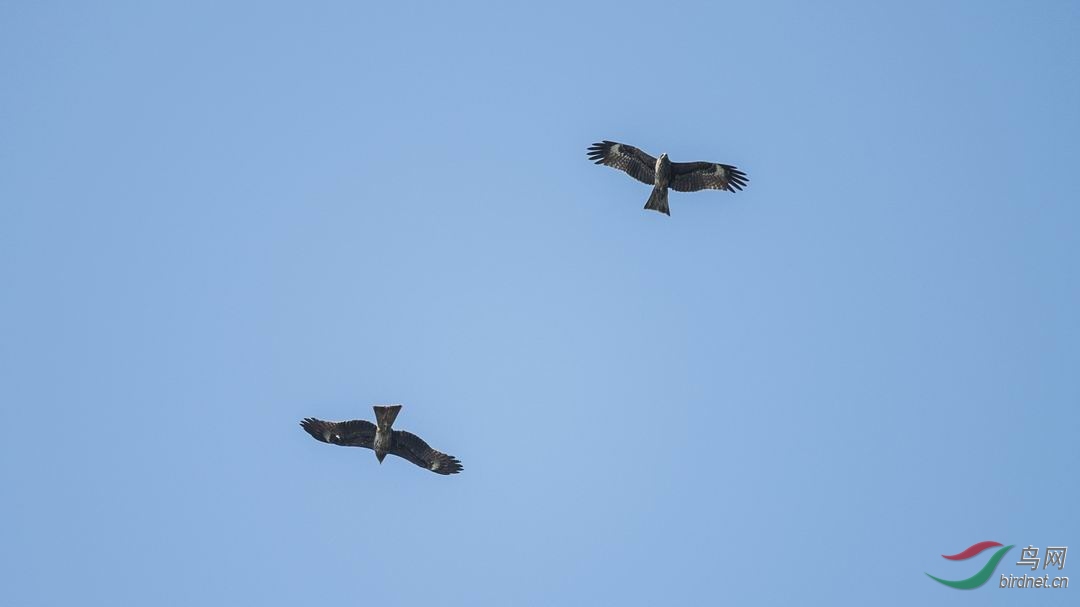 ������С DSC_1776.jpg