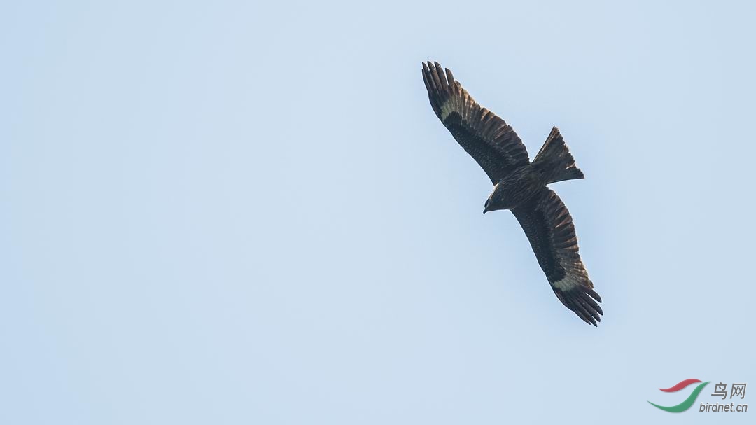 ������С DSC_1795.jpg