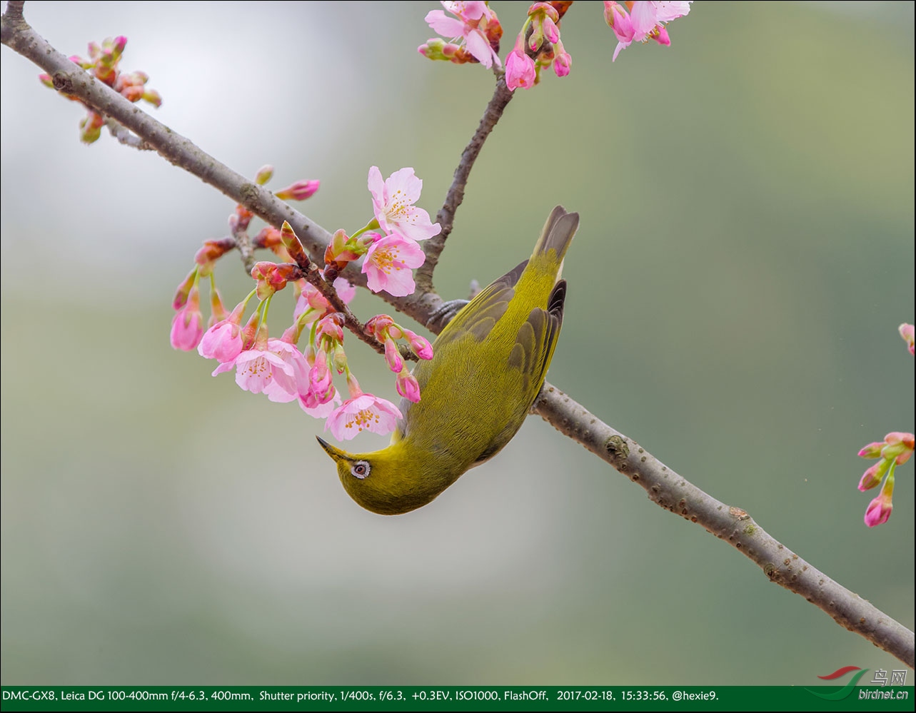 2017-02-18 15-33-56����������_DxO.jpg