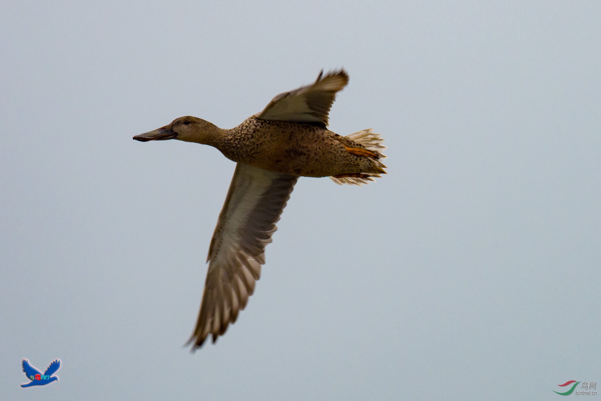 EM128583-ac.jpg