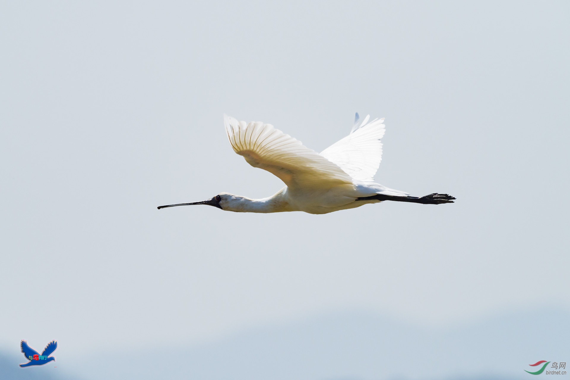 EM121178-ac.jpg