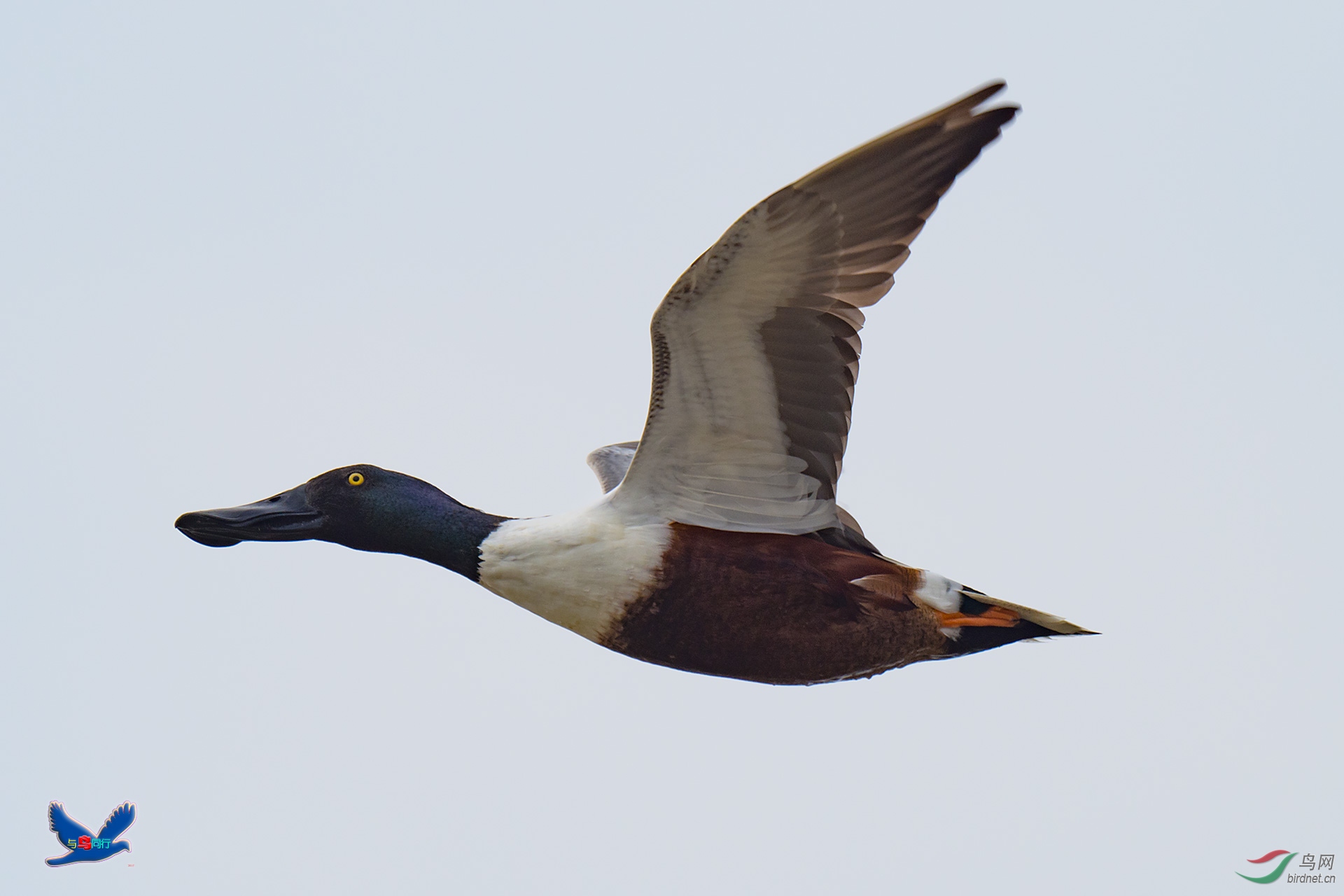 EM126692-ac.jpg